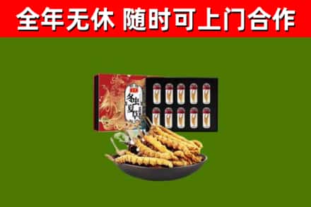 施秉县烟酒回收冬虫夏草礼盒.jpg