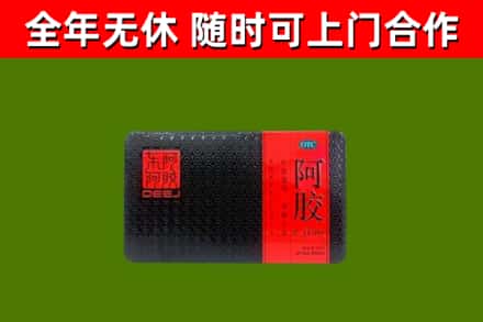 施秉县回收阿胶