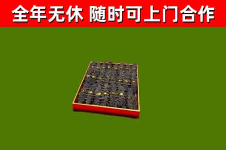 施秉县回收海参